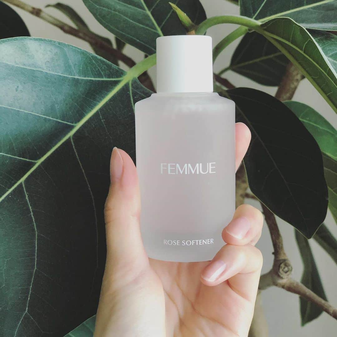 英玲奈さんのインスタグラム写真 - (英玲奈Instagram)「新発売の、 @femmue_japan  #ローズソフトナー を早速使ってみた。 #導入美容液　なので、洗顔後、 最初につけてみた。 これだけでお手入れ終わりで良くない？ってくらい潤う。 折角だから導入だなと思い、 その後にいつものFEMMUEのラインでシンプルなお手入れしてみた。 #ローズソフトナー ↓ #スーパーファインモイスチャーミスト でコットンパック ↓ #ルミエールヴァイタルc  ↓ #フラワーエッセンシャルモイスチャライザー 今回はスリーピングマスクとか使わずシンプルめにしたけど、 翌朝のしっとり感に肌のもっちり感に感動。 最近、顎に吹き出物出来て痛痒かったんだけど、それも落ち着いてる。 なかなかの鎮静効果があるなぁ。 これで97.9%ナチュラルって素晴らしい。」8月11日 10時54分 - erena_erenyan