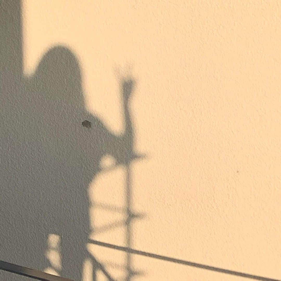 のインスタグラム：「_ ㅤㅤㅤㅤㅤㅤ 最近は少しづつだけど元の生活に戻りつつありまして 普通って素晴らしいってなる毎日です。 まだまだ元どおりにはなる日は遠いけど 小さい事で幸せを感じられるようになってきて 毎日幸せです！ 明日死んでもいいように生きれてる気がする笑 (嘘です、少し盛りました、、)  ・ ・ ・」