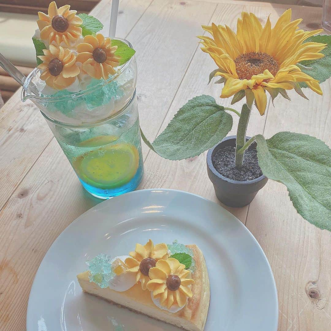 美南れなさんのインスタグラム写真 - (美南れなInstagram)「🌼🌼🌼 ・ ・ ・ ・ ・ #おしゃカフェ #カフェ #カフェ巡り #下北沢カフェ #ひまわりケーキ #向日葵 #サンデーブランチ #sundaybranch #cake #🌻」8月11日 20時50分 - tsukiato_rena