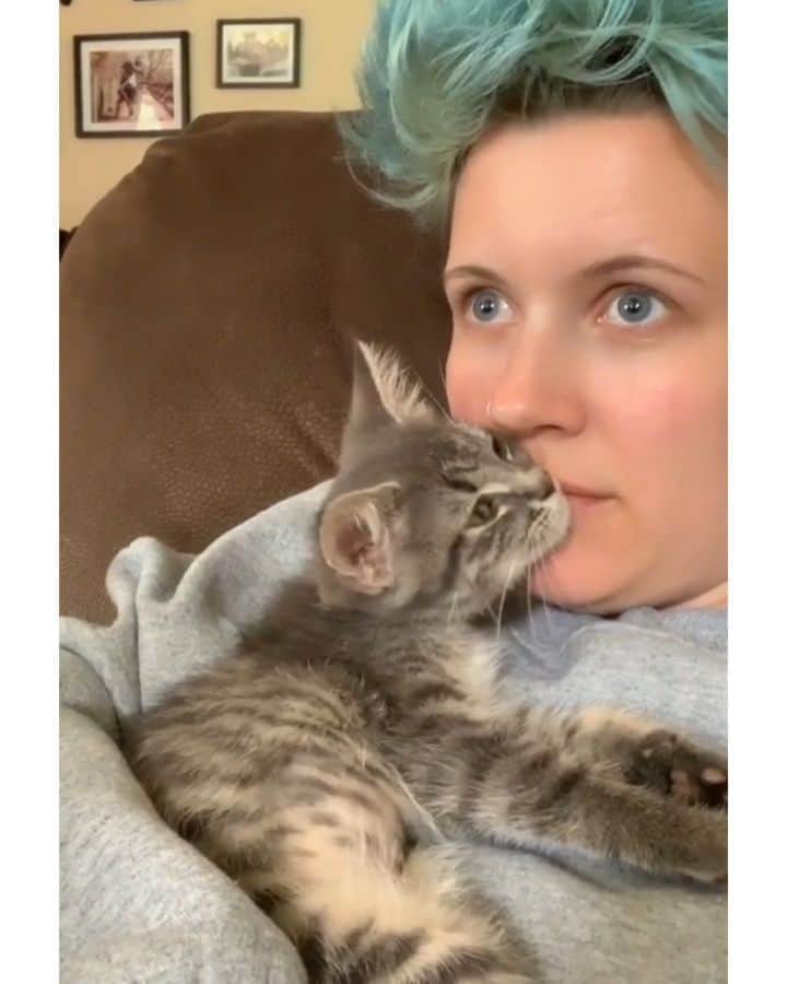 Pleasant Catsのインスタグラム：「I love this and i can’t stop re watching 🥰  From aylajalyn - on tiktok  #pleasantcats」
