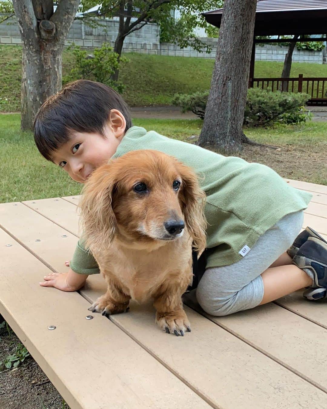 rats1316のインスタグラム：「・ 相棒👦🏻🐶 ・ ・ 長生きしてくれよ！おじいちゃん🤍 ・ ・ ・ #いぬすたぐらむ #いぬのいる暮らし #チョコ#15歳#相棒」