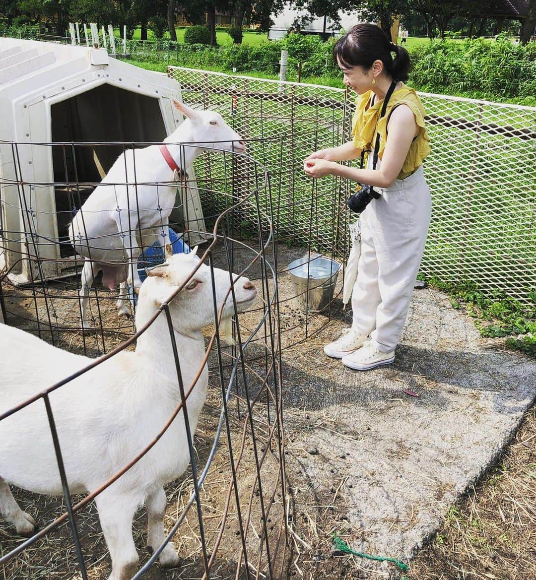 佐藤朱のインスタグラム