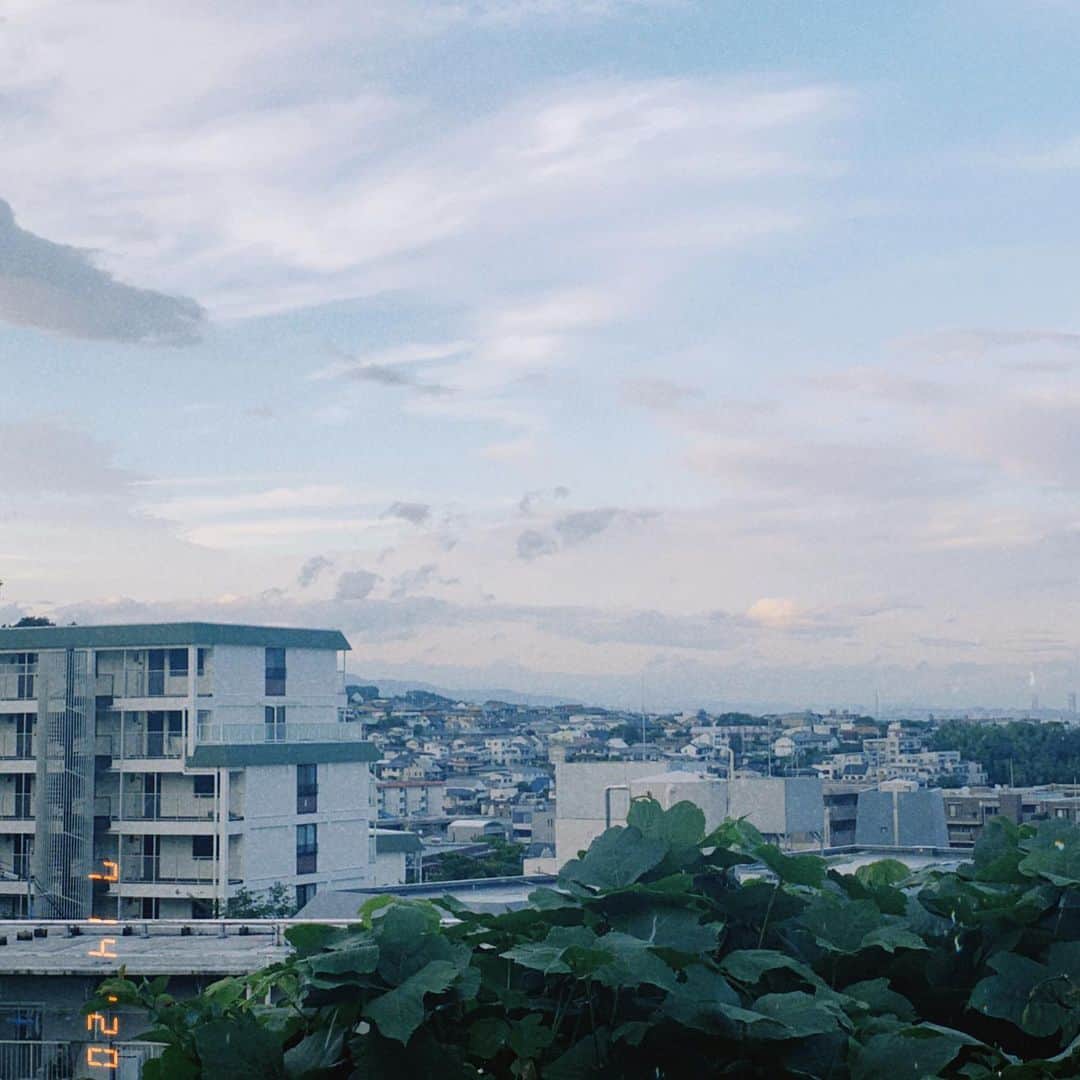 RIKAPEPEのインスタグラム：「梅雨の空が、夏の空に。 裏山にはイノシシが居るらしいです。もののけ達もいるのかしら。虫にはようやく慣れました。我が家のウリボーは元気です🐗  #空が好きな人と繋がりたい  #夏空　#梅雨空」