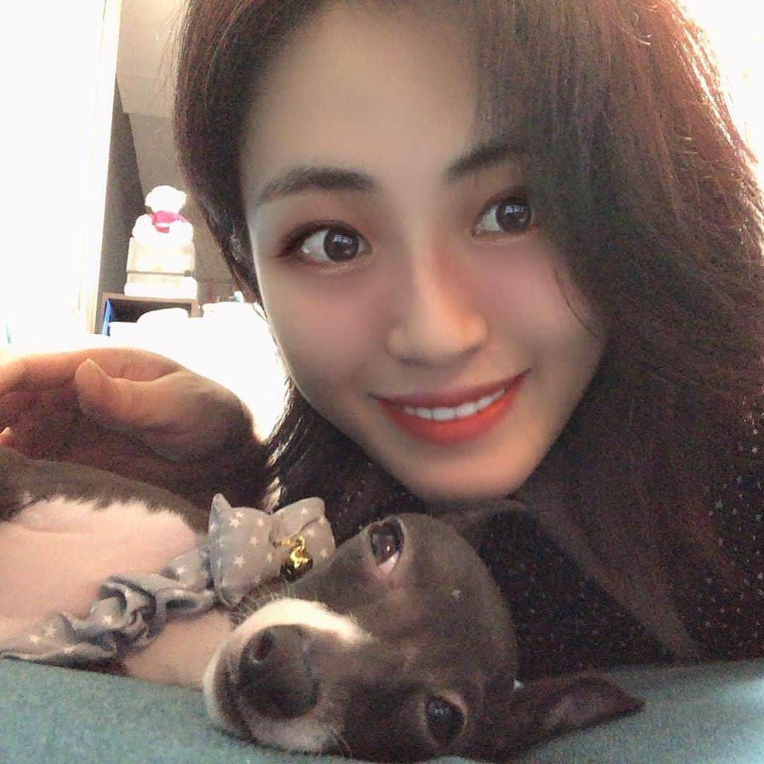 朝倉恵理子のインスタグラム：「皆さまお久しぶりです😊 最近は愛犬のルナに夢中です。  2枚目からはルナが来てから約1ヶ月半の成長ぶりを載せてます❣️」