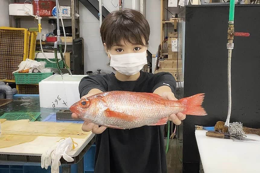 スーパーナブラのインスタグラム：「． ． お騒がせしてすみません🙏 ． 本業に戻るときがきたので 最後のN-BARです (マグロ釣りに行くだけですよ😅) ． 今夜のあてはのどぐろです✨ ． 京都の市場は魚がとても少ない状況で のどぐろ一尾 とんでもない値段になってました💦 ． ． ． (YouTubeのコミュニティに書いた独り言) ． 剱岳を下山して電波のない山小屋に泊まり さらに下山して電波が入ると 15万人もの方々にチャンネル登録してもらっていました🙇‍♀️ ． YouTubeをはじめる前に決めたことがあります 「チャンネル登録お願いします」という YouTubeではお決まりの文言を絶対に表示したり言わないことです ． お願いしてないのに登録してもらえるなんて密度が濃いじゃないですか😊 ． だからわたしのチャンネルはとてもあたたかいコメントで溢れていて、今回のようなことが起きても心強く自分のままでいれるし、嫌なことがあれば友達に話すように迷うことなく伝えることもできます ． 賛否ある道の駅のマナー動画を出したときも良識ある旅人さんのコメントがたくさんあったことが本当にうれしくて、このチャンネルを守りたいと初めて感じたことが後のkiii入所に繋がります ． 夏はマグロがあります 実際に昨年の夏4カ月ほどYouTubeを休みましたが大変なことになりました トップYouTuberでもなければ4カ月も休すめば待ってくれる人がいたとしてもYouTubeに居場所が残っていないからです ． ． YouTube生配信ライブ 今夜21:00より スーパーナブラチャンネルで⚡️ ． ． #のどぐろ#金沢#石川#刺身 #マグロ#東北#風景#海#温泉#旅館 #グルメ#露天風呂#GW#車中泊 #景色#釣り#ブラックバス#マグロ #発見#おでかけ#女子旅#ツーリング#魚 #自然#釣り#釣りガール#YouTube#」