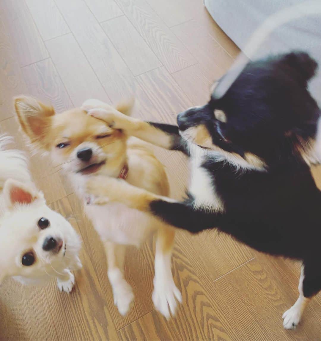 味岡ちえりのインスタグラム
