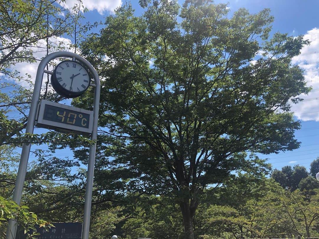Soka Universityのインスタグラム