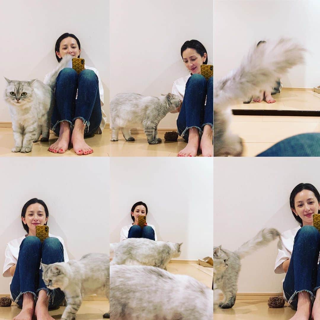 奥菜恵さんのインスタグラム写真 - (奥菜恵Instagram)「るなちゃん。  #猫 #cat #ミックス猫　と #私 #megumiokina #奥菜恵」8月11日 15時23分 - megumi_okina