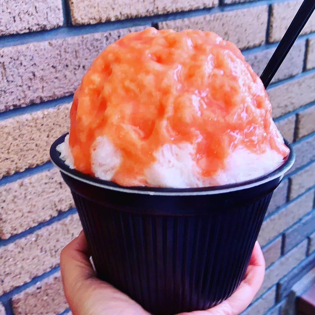 志摩有子のグルメインスタ