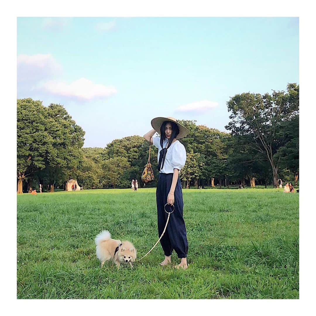 RisaWisteriaのインスタグラム：「. Summer🌿🌿🌿 . 先週ぽんちゃんとドッグラン行った時の写真✨ . ガッツリ遊ばせる時はメッシュベストにENOB.のリーシュ🐶💗 . 野ウサギみたいに茂った草の中ぴょんぴょん跳ね回ってて可愛かったな🐇☘  #yoyogipark#park#summer#dog#pomeranian#fashion#dogaccessories#ENOB」
