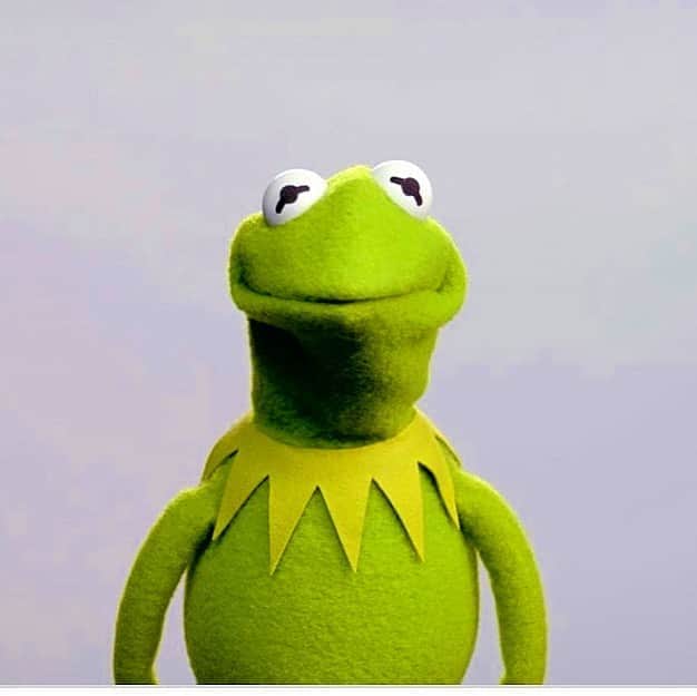 ボブ・サゲットのインスタグラム：「You really find out what people are made of during this time. Some are disappointing and some are inspiring. I try to go toward the inspiring beings. Like @kermitthefrog 💚🐸」