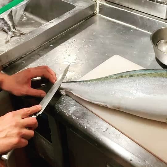 魚金のインスタグラム
