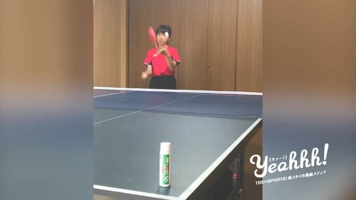 のインスタグラム：「あっと驚く神業炸裂！？ ﻿ 卓球のトリックショットに親子が挑戦！ ﻿  ﻿ 離れた的を落とす卓球のトリックショットにチャレンジする親子をご紹介！ ﻿ ジャグリングからの驚きの神業をじっくりどうぞ！ ﻿  ﻿ 『吉田 百花（よしだ ももか）15歳』 ﻿ 大道芸人のお父さんの影響で3歳からジャグリングの練習を始め、 ﻿ 中学で卓球部に入ったのをきっかけに卓球のトリックショットを始める。 ﻿ 5歳の頃からお父さんと一緒にプロの大道芸人（吉田さんちの大道芸）として ﻿ 全国各地でパフォーマンスをしている。 ﻿  ﻿ 【賞歴】 ﻿ 2016年 ふくやま大道芸 第17回グランプリ大会 ローズプライズ賞 ﻿ 2016年 7ボールジャグリング99回 女子日本記録認定 ﻿ 2017年 第1回布施大道芸人グランプリ 準優勝 ﻿  ﻿ ↓アナタの動画も受付中！ ﻿ http://www.tbs.co.jp/Yeahhhsports/ ﻿ #TBS #Yeahhh #卓球 #神業 #トリックショット #trickshot #trickshots #中学生 #投稿動画 #親子 #吉田百花」