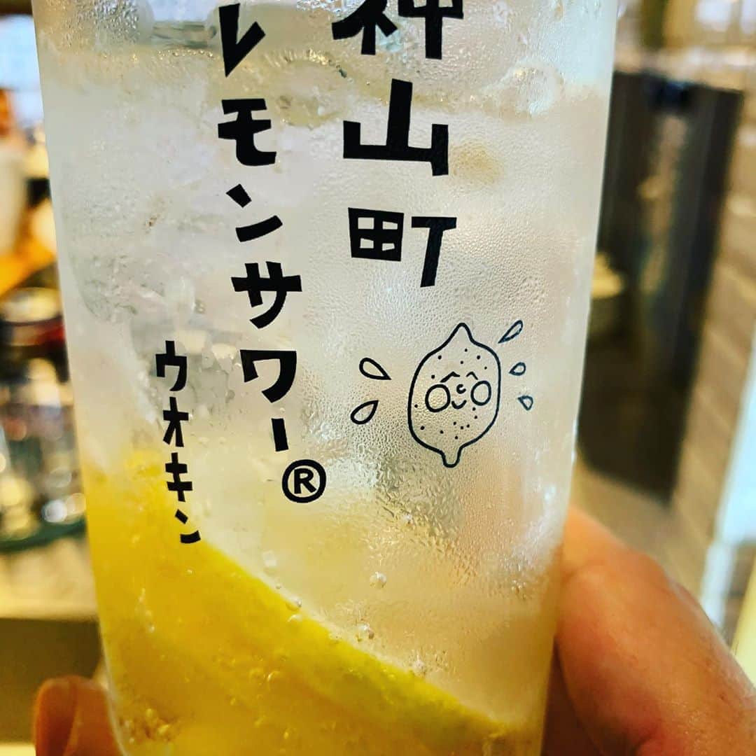 のインスタグラム：「今日も暑かったですね！ お疲れ様の一杯に 魚金名物　 神山町レモンサワーいかがでしょうか？  仕事終わりのカラダに染みる事間違いなし！  #魚金#レモンサワー #新橋居酒屋#はしご酒#sake #サワー　#sour #居酒屋#とりあえずビール#吉祥寺グルメ#レモンサワー部#居酒屋巡り#渋谷グルメ」