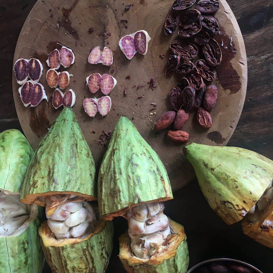 ダンデライオン・チョコレート・ジャパンのグルメインスタ