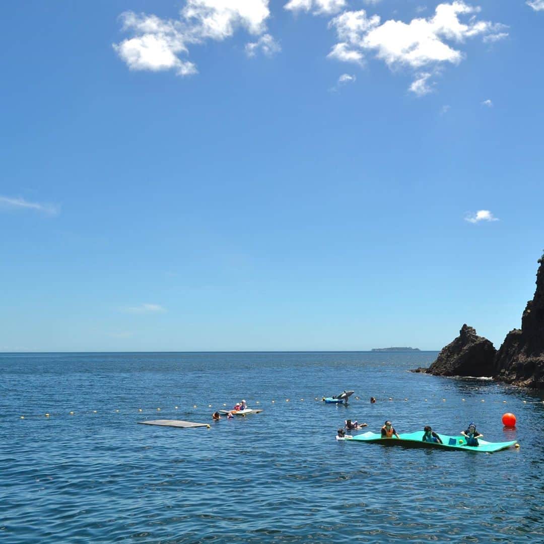 ホテルニューアカオ　熱海温泉＆リゾートのインスタグラム：「海を区切っただけのオーシャンプール‼️ 下を覗くと魚たちがいっぱい🐟 今日はイカの赤ちゃんもたくさん見れました🦑✨」