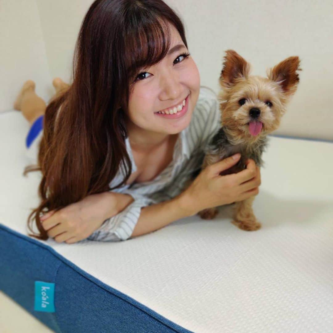 江原詩織さんのインスタグラム写真 - (江原詩織Instagram)「遂に我が家に人気のコアラマットレス @koala.jp がやってきましたー🐨❣️  もともと腰痛持ちだしゴルフやってるのもあって、今までは腰が休まらなくて朝起きても痛かったけど、このマットレスは体全体がフィットして腰が休まって寝心地が最高です😭！！✨  《Point》 ❶ 日本人にぴったりの硬さを追求していて、日本人にカスタマイズされてる◎ ❷ 衝撃を吸収してくれるからペットともぐっすり一緒に寝られる🐶 ❸ めざましTVや王様のブランチにも紹介されてるマットレス📺  ワイングラスチャレンジやろうとしたらワイングラスがなくてお水たっぷりになって怖かったけど、見事倒れず成功しました🙌笑  クーポンコード【shiorigolf_koala】で10500円offになります😋  #コアラマットレス #ad #sponsored #コアラのある生活 #コアラ #koala #ゴルフ女子 #女子ゴルフ #ゴルフ男子 #golfstagram #instagolf」8月11日 18時15分 - shiori__golf