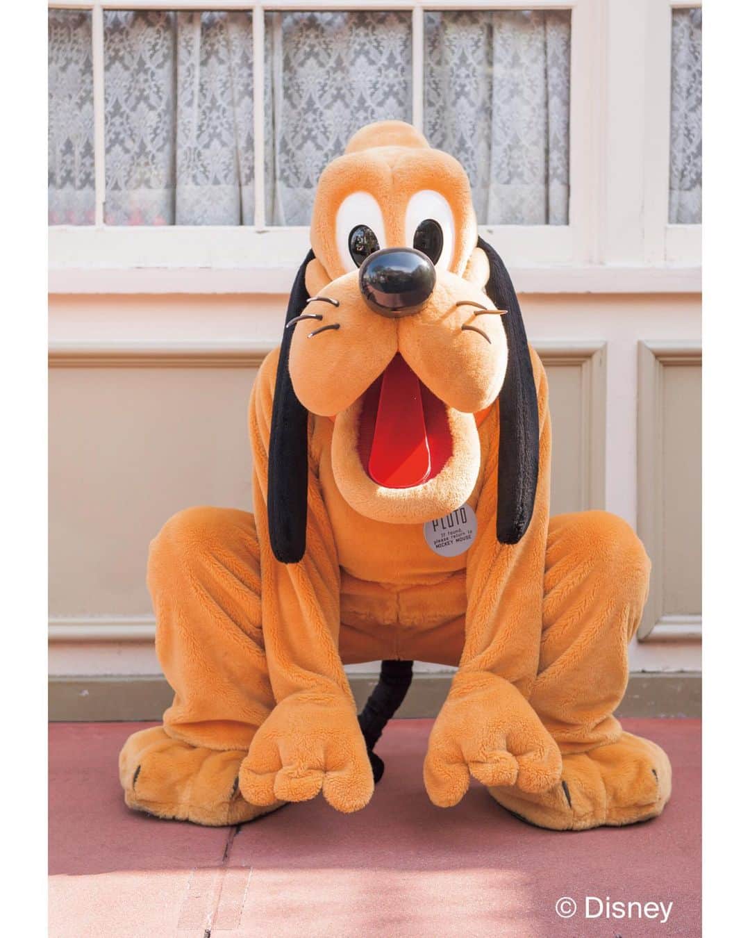 月刊ディズニーファン【公式】さんのインスタグラム写真 - (月刊ディズニーファン【公式】Instagram)「#ミッキーマウス の愛犬、#プルート が好きすぎる❤️❤️❤️ ９月５日に#スクリーンデビュー90周年 を迎えるプルートの魅力を９月号で大公開📖❣️ ・ ※ディズニーファン9月号に掲載の記事は、2020年7月10日時点の情報に基づいています。掲載した情報は、予告なく内容が変更、中止になる場合があります。 ・ ・ 各情報の最新状況につきましては、誌面に掲載のお問い合わせ先にお問い合わせください。 ・ 東京ディズニーリゾートに関する情報は、 東京ディズニーリゾートインフォメーション 電話0570-00-8632　受付時間：9:00-17:00 （年中無休） （一部のPHS・IP電話・国際電話の方は045-330-5211）にお問い合わせください。 ・ 読者の皆様にはご迷惑をおかけいたしますが、何とぞご了承いただけますよう、お願い申し上げます。 ・ #ディズニーファン #月刊ディズニーファン #disneyfan #ディズニー公式情報誌 #disney #ディズニー #disneyphoto #disneylife #disneylove #ディズニー好きな人と繋がりたい #ディズニーファン９月号 #tokyodisneyresort #東京ディズニーシー #tokyodisneysea #アクアスフィア #toontown #トゥーンタウン #pluto #mickeymouse #tokyodisneyland #東京ディズニーランド」8月11日 18時13分 - dfan_mag_official