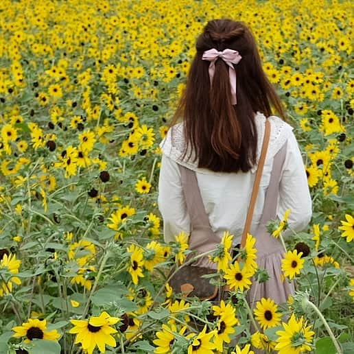 sweet_strawberryさんのインスタグラム写真 - (sweet_strawberryInstagram)「🌻🌻夏のお花見🌻🌻🌻 🍉#あつはなつい 🎇#日常の幸せ#日常の記録#おでかけ 🌸🌻🍁⛄️#四季を楽しむ#夏を楽しむ 👒#ひまわり畑でつかまえて #ライ麦畑でつかまえて #なんでもない日常に物語を #ひまわり畑#お花畑#花見#夏だ#夏の思い出#夏の風物詩#ビタミンカラー#イエロー#後ろ姿#リボンヘア」8月11日 18時28分 - sweet_strawberry