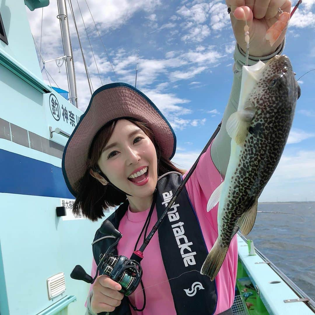 井上直美さんのインスタグラム写真 - (井上直美Instagram)「湾フグ釣り〜(^O^)サイズも数も出てめちゃくちゃ楽しいよね♪繊細なアタリがたまらんの♡ 詳しくはつり丸みてね♪ 　#釣り　#釣りガール　#湾フグ　#ショウサイフグ　#野毛屋　#食べても美味しい高級食材　#つり丸　#トレインアングラー　#電車釣行　#アルファタックル　#サンヨーナイロン　#井上直美　#釣り好きな人と繋がりたい」8月11日 18時58分 - naochingyo