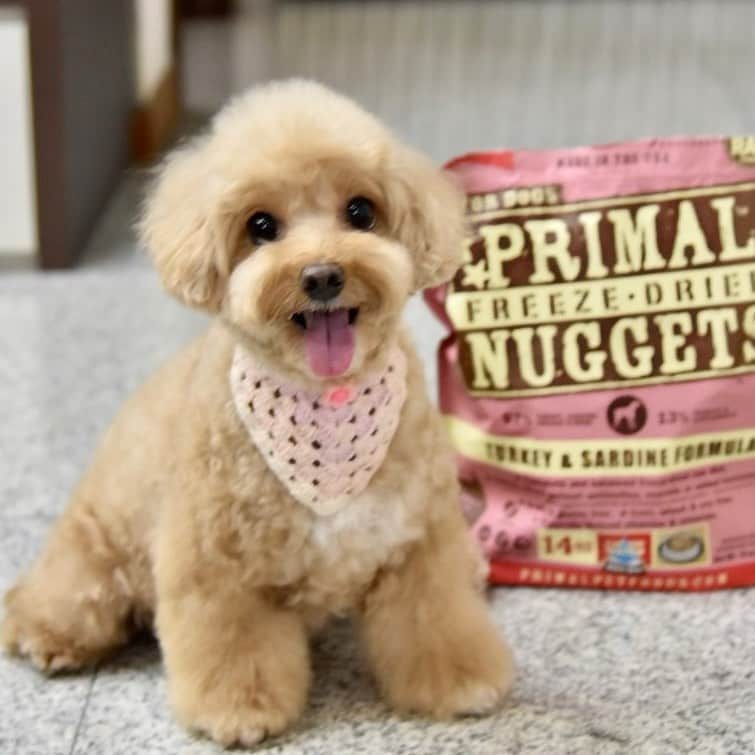 Truffle??松露?トリュフのインスタグラム