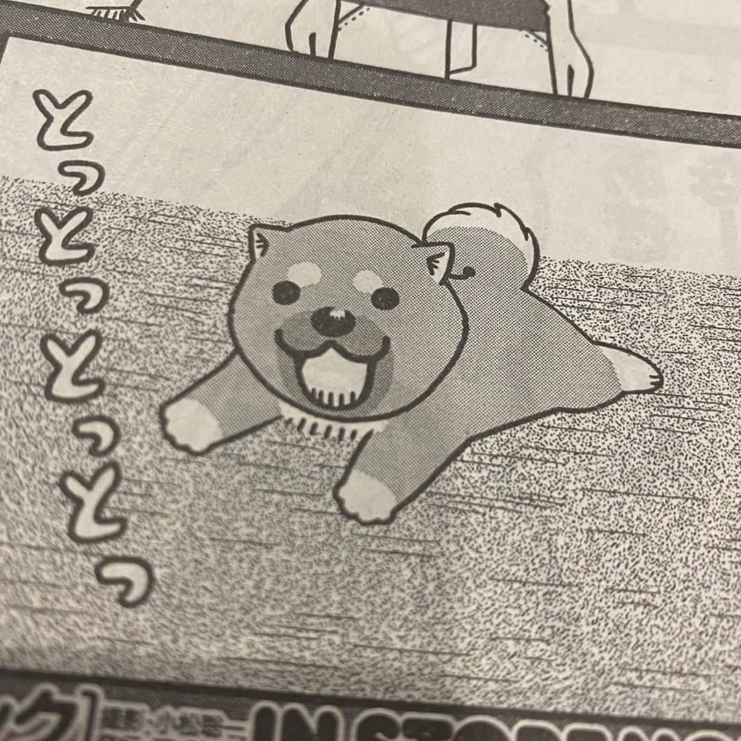 みずしな孝之のインスタグラム：「イをぴーっとのばすムーコが目印の 本日発売・講談社イブニングに 「いとしのムーコ」第217話掲載されてます。 ムーコがやってきた日のエピソード・ラスト回です。 最終回まであと3話、どうぞよろしくお願いします！」