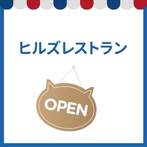 nocoaのインスタグラム：「． もぐもぐポリポリ。 いい音で食べてます😂 ヒルズさんの美味しいフード🤤 ロイサラ、ミロ、ノアが出てるので見つけてね☺️✨  安心安全だけでなく、おいしさも追求したヒルズのフード。 味、形、香り、食感、大きさ　この５つの角度から研究に研究を重ねた栄養満点のフードです。 うちの子たちも食いつき抜群✨  新しいプロジェクト、「ヒルズレストラン」がOPEN🍽 #おねだりヒルズ をつけて投稿すると、第二弾はあなたのネコちゃんが登場するかも？！  @hillspet_japan #ヒルズペット #レストラン三ッ星ヒルズ #PR」