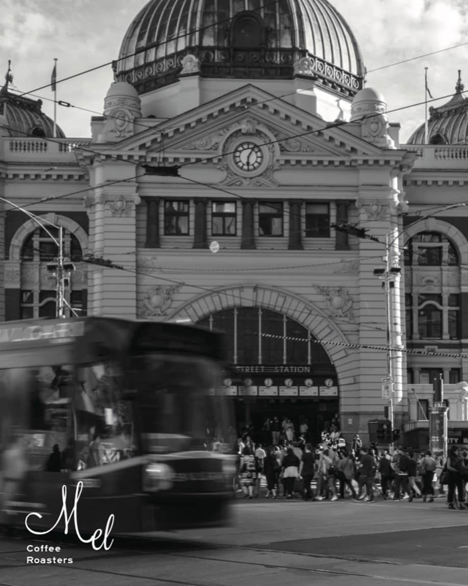 Mel Coffeeのグルメインスタ