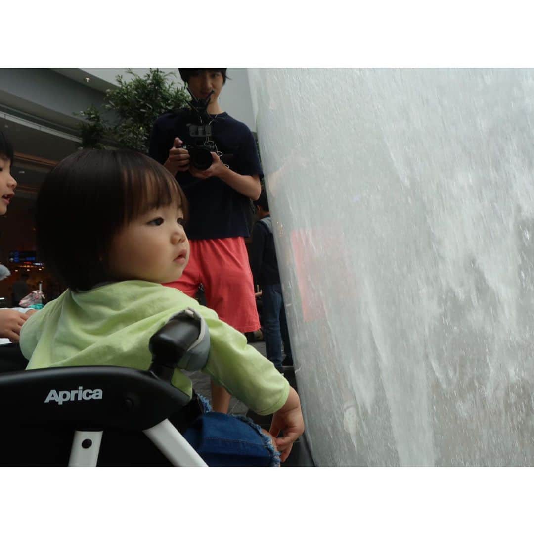 鈴川絢子さんのインスタグラム写真 - (鈴川絢子Instagram)「これは去年、ひたちのリクエストでお誕生日祝いに行ったシンガポール旅行🇸🇬✈️﻿ ﻿ チャンギ国際空港と繋がっている商業施設「JEWEL」が楽しすぎて、この少し後にJGC修行のOKA-SINルートで単身シンガポールに行ったときも一日中JEWELに入り浸ってました😂  シンガポール動物園もまた行きたいな🐘🦒✨  #Singapore #jewel」8月11日 20時16分 - suzukawaayako