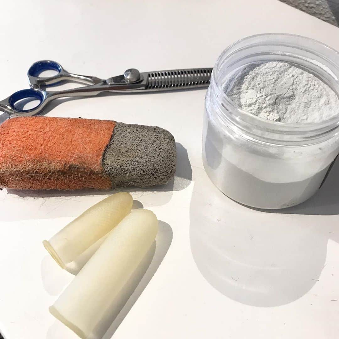 Dogs by Ginaさんのインスタグラム写真 - (Dogs by GinaInstagram)「Check out these clips of the whole grooming process on a (pet) Westie #westhighlandterrier #westhighlandwhiteterrier #westie」8月12日 7時05分 - napanatural.dogco