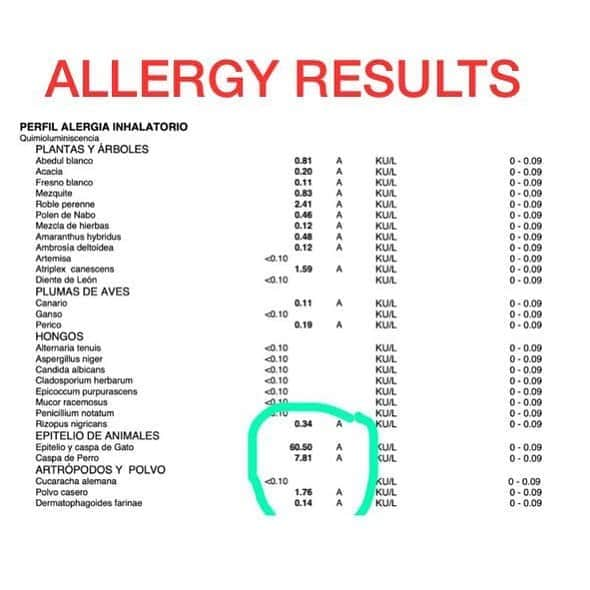 Black Jaguar-White Tiger さんのインスタグラム写真 - (Black Jaguar-White Tiger Instagram)「Allergy results. Basically, I’m allergic to everything, but look at the ones in the circle, because they belong to Cats and Dogs. In Cats, the maximum level is .09 and I have 60.50. 600 times more than the maximum in my body. And for Dogs, the maximum is the same, 0.9, and in my blood I have 7.81. 78 times more in my blood and 600 times more than the maximum with Cats. Ain’t life a bi... :)  This is why I can’t breathe in Mexico Shitty, sorry, City... #PapaBearChronicles」8月12日 6時06分 - blackjaguarwhitetiger