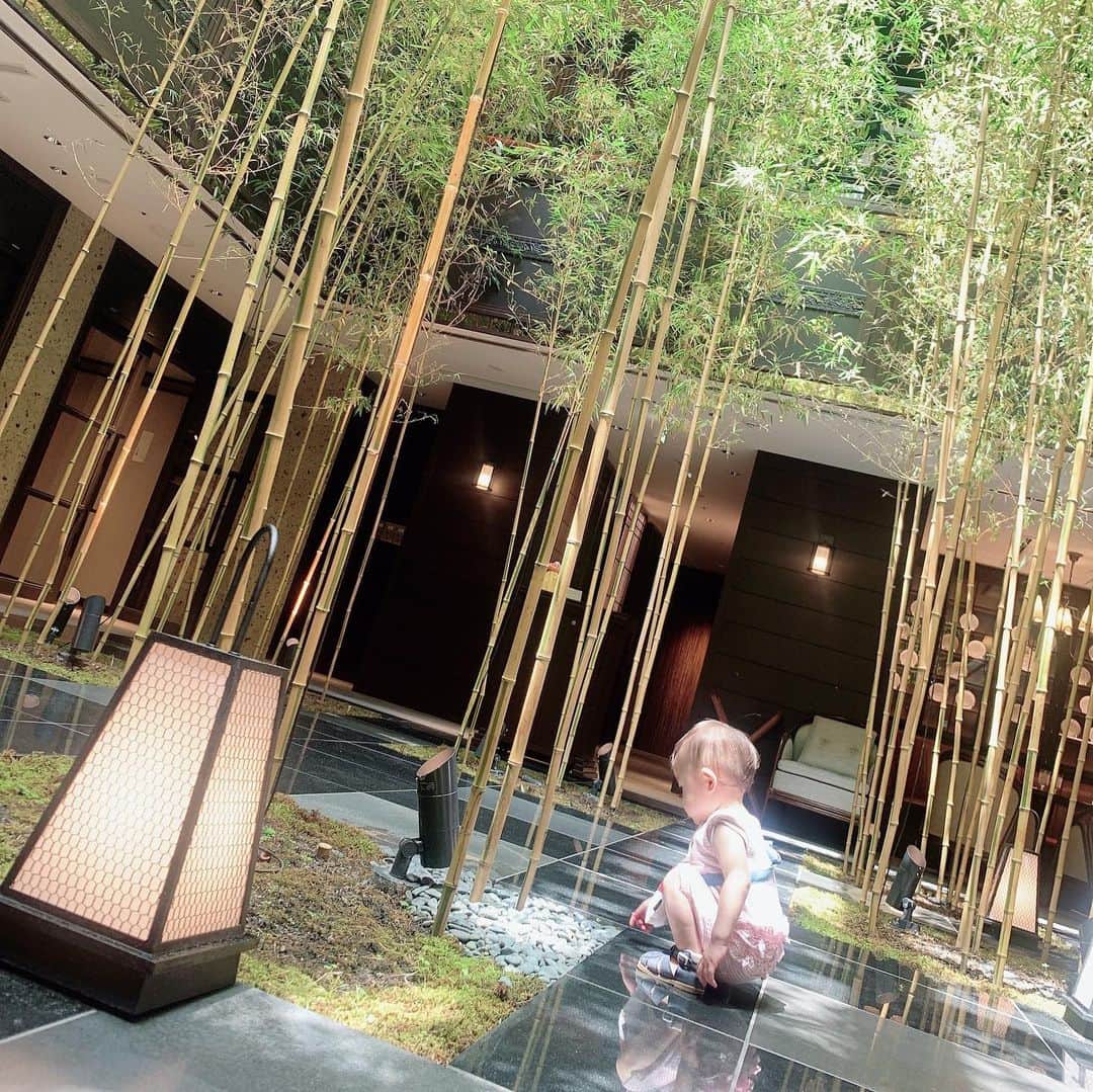 澤野井香里さんのインスタグラム写真 - (澤野井香里Instagram)「@kyoto_yura_mgallery にランチへ🍴✨  京都に観光客の方がほんと少なくなった今、寂しい気もするけどレストランが貸切で密を避けれてゆっくりお食事できて、とっても居心地良かった♡  スタッフさんが折り紙作ってMと遊んで下さったり、優しいおもてなしにもホッコリ＾＾  コースランチもどれも美味しくて、特に海老のビスク🦐は感動❣️ また絶対食べたーい♡  そしてストーリーに質問のあった@yumeribon_official の新作#エンジェリックフレアワンピース は長めの膝丈でシルエットやプリーツも綺麗✨ ゆめちゃんの作るエンジェリックシリーズはお気に入りすぎて新しいもの出る度に買い足してる♪🥰  #ks_20✨ #👶 #1歳 #1歳6ヶ月　#娘 #ベビフル #ママリ #コドモノ #関西ママ #京都ママ #女の子ママ #ママライフ  #ks_dau #ks_dau_2020 #M🍒_  #ks_20✨ #👶 #1歳 #1歳5ヶ月　#娘 #ベビフル #ママリ #コドモノ #関西ママ #京都ママ #女の子ママ #ママライフ #ks_dau #ks_dau_2020  #M🍒_ #京都　#三女　#三条京阪　#京都ランチ　#京都フレンチ　#京都グルメ」8月12日 6時07分 - kaori_sawanoi