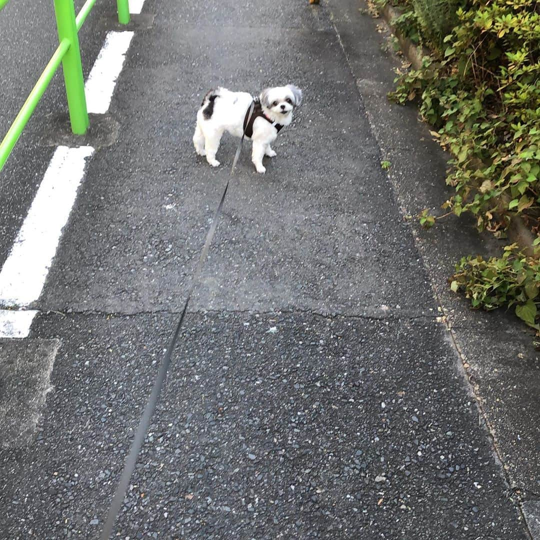 濱田マサルのインスタグラム