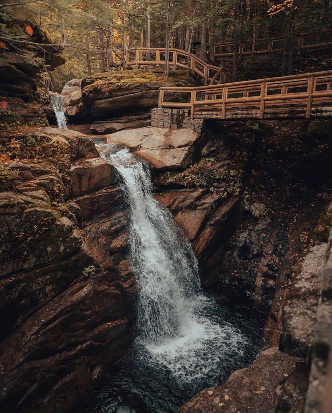 FOLKのインスタグラム：「You know when you can feel a photo? Hear the water, smell the leaves. Today’s favorites are giving me that. 1.) @shortstache 2.) @themandagies 3.) @capturewithtommy 4.) @craighowes 5.) @coastalkells 6.) @kirstydolmor」