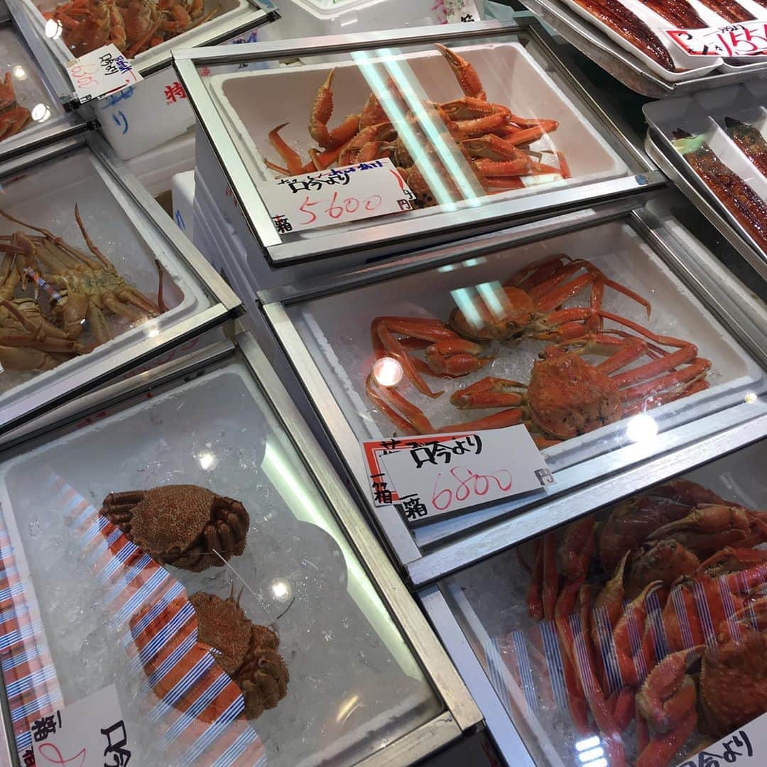 増山敬子さんのインスタグラム写真 - (増山敬子Instagram)「金沢市民の台所といえばこちらの #近江町市場  金沢の食文化を支える『市民の台所』として親しまれている近江町市場はもう少しで300年になるそう！すっごーいっよね😳✨✨ 狭い小路には約170の店が並び、 新鮮な海の幸や地元産の野菜や果物などが豊富に揃っていて、その中でも、日本海で獲れた魚介を扱っているお店がいっぱーい！そして安くて美味しくて息子の一言 "東京のお刺身より美味しい！" だって！ 我が家はお刺身が大好きなんですが、なんと、スーパーのお刺身も美味しくて安いの😭嬉しすぎるっっっ。」8月11日 22時37分 - keikomasuyama