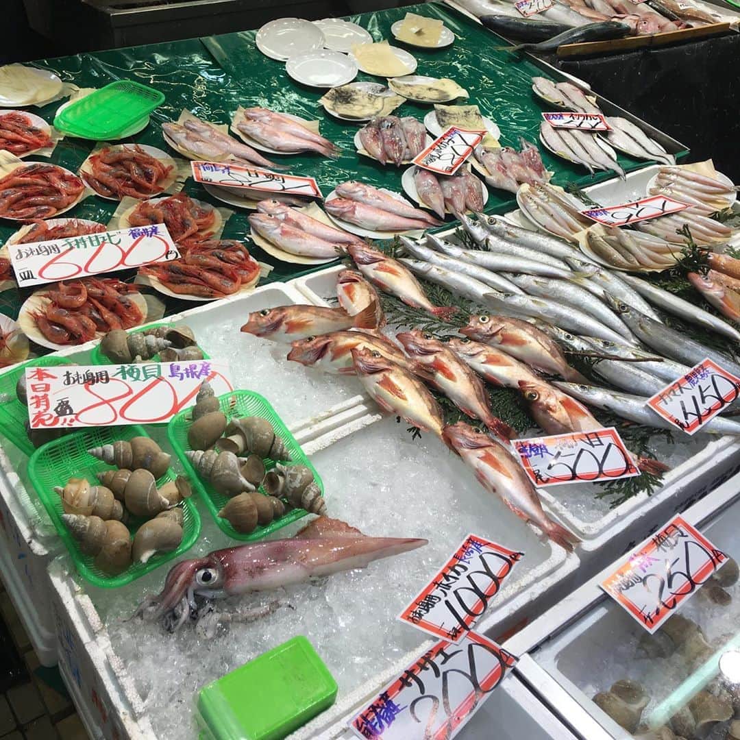 増山敬子さんのインスタグラム写真 - (増山敬子Instagram)「金沢市民の台所といえばこちらの #近江町市場  金沢の食文化を支える『市民の台所』として親しまれている近江町市場はもう少しで300年になるそう！すっごーいっよね😳✨✨ 狭い小路には約170の店が並び、 新鮮な海の幸や地元産の野菜や果物などが豊富に揃っていて、その中でも、日本海で獲れた魚介を扱っているお店がいっぱーい！そして安くて美味しくて息子の一言 "東京のお刺身より美味しい！" だって！ 我が家はお刺身が大好きなんですが、なんと、スーパーのお刺身も美味しくて安いの😭嬉しすぎるっっっ。」8月11日 22時37分 - keikomasuyama