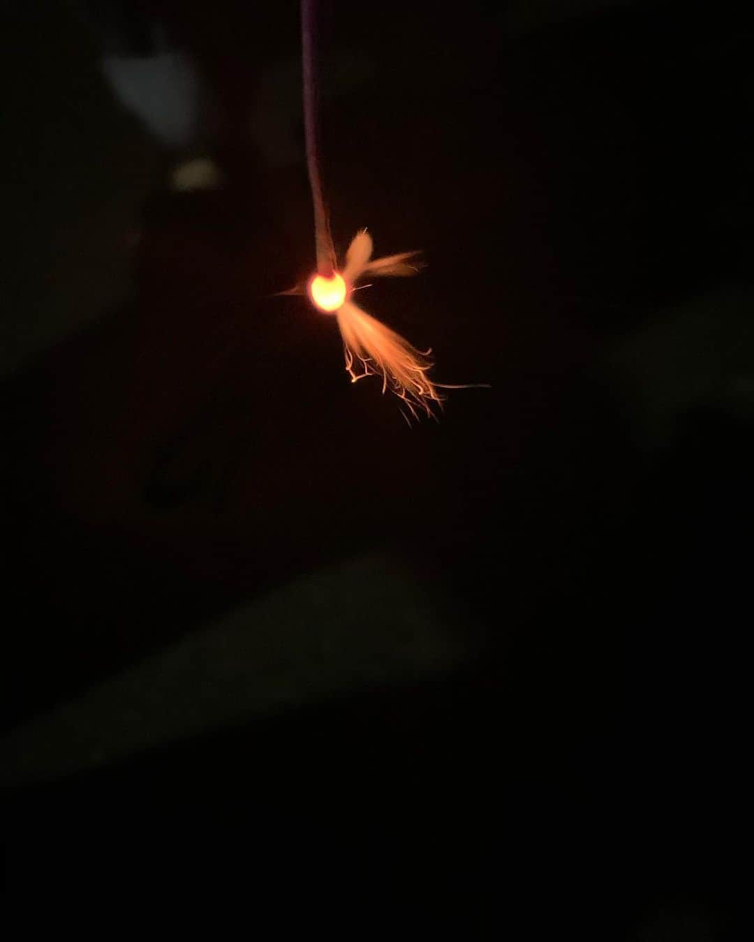 白井杏奈のインスタグラム：「・ 花火しました＾＾ ・ 大きい花火は見れてないけど手持ち花火も楽しい✨」