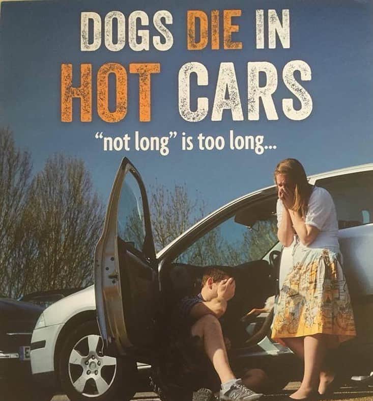 ジェマ・アトキンソンさんのインスタグラム写真 - (ジェマ・アトキンソンInstagram)「If it’s too hot for us, imagine having a dogs coat. Please don’t leave your best friend in a hot car, no matter how quick you think you’ll be. It’s not fair, and it’s not worth it. 🐶 ❤️」8月11日 23時54分 - glouiseatkinson