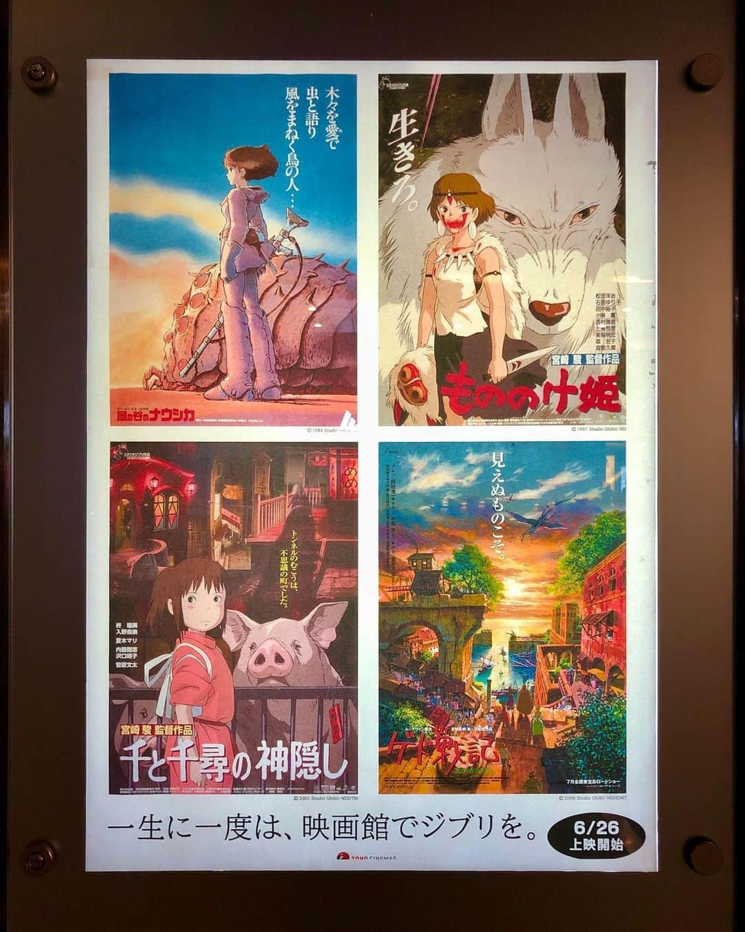 石井脩平さんのインスタグラム写真 - (石井脩平Instagram)「🎥 昨日 映画館で『もののけ姫』を観たんですよ。 それはもう素晴らしくてですね。 まぁ「当たり前やがな！」て話なんですけども。 　 　 このキャッチコピーの通り一生に一度は観とくもんやなぁて。 ほんまに観て良かったなぁて。 あの空間であの環境であの名作を観れることがありがたいなぁて。 これまた「当たり前やがな！」なんですけども。 　 　 ほんで映画館のお姉さんに 「これいつまでやってるんですかね？」 「もうすぐ終わっちゃいそうですよね？」 「観れるん今のうちですもんね？」 みたいなしょうもない質問してて それに優しく付き合うてくれてはったんです。 　 　 お姉さんわざわざまた追いかけて来てくれはって 明日火曜日に毎週スケジュール更新されるんで… 言うてくれはったんですよ。 　 　 ほんでさっき調べたら… 今週で終わることが発表されてたんですよ。 　 　 あの意味深な発言はそういう事やったんですね…思て。 考え過ぎなんかも知れんねんけども。 　 　 まだ観てへん方は是非＆是非。 もう二度とこんなチャンス無いかもやしね。 僕も隙あらばもう1,2本行こう思てますねん。     #誰が何を言うとんねん #ありがとう #お姉さん #ありがとう #スタジオジブリ」8月11日 23時58分 - presidentchan141