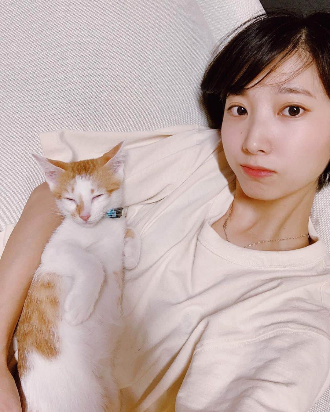 飯島望未のインスタグラム：「love💚  #いつまでこうしてくれるかな #LimeTheCat #保護猫 #足長マンチカン」