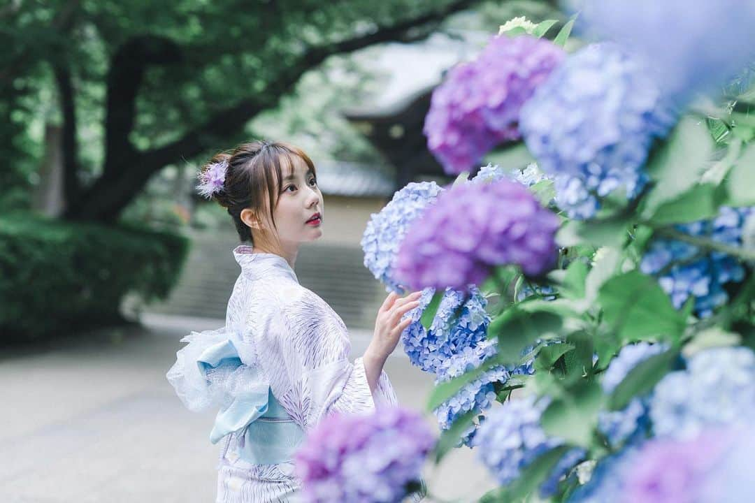 王依君さんのインスタグラム写真 - (王依君Instagram)「明月院｜紫陽花💜」8月12日 0時37分 - sandystrawberry_