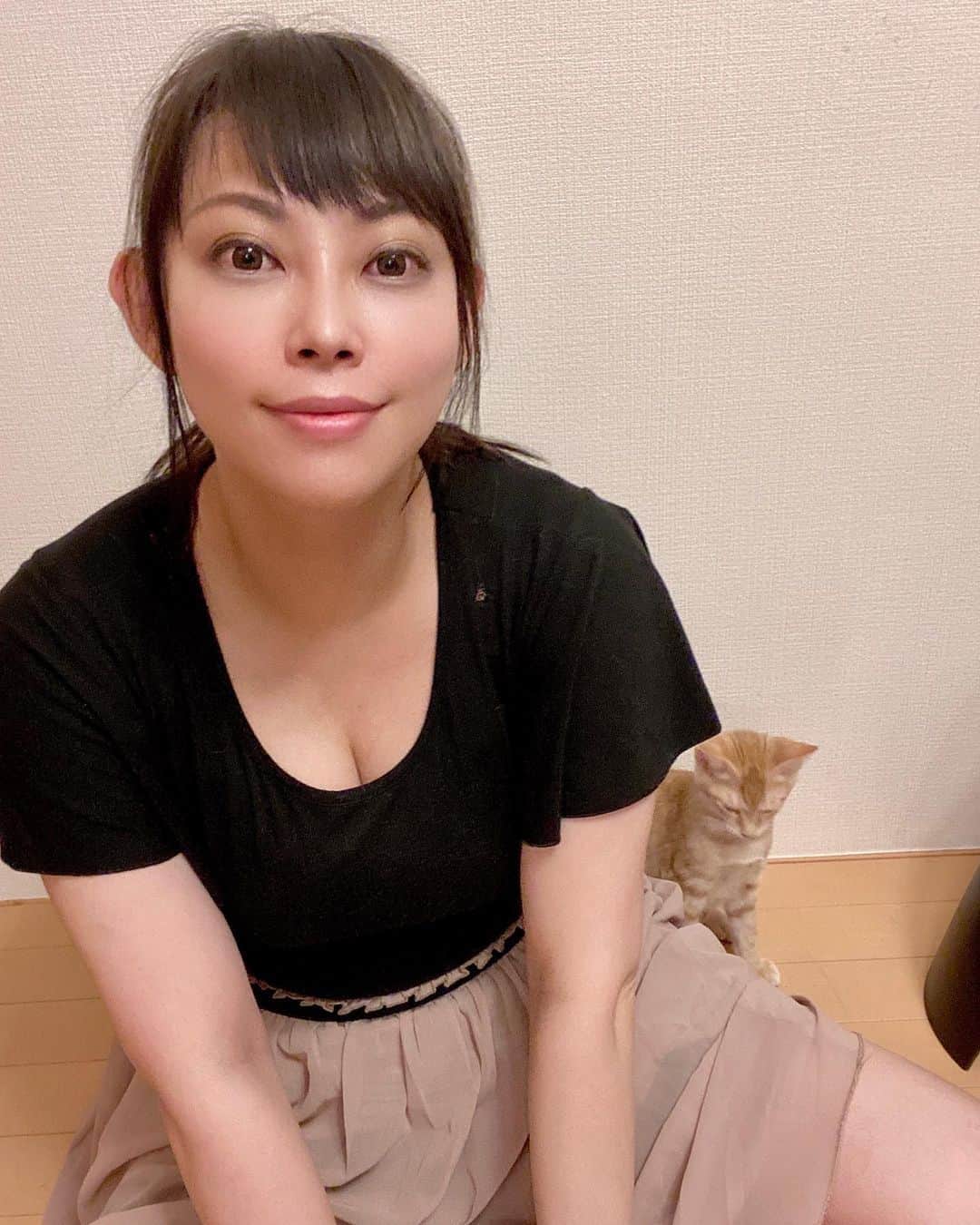 のインスタグラム：「帰宅すればエアコンが効いた部屋で猫たちが待っている。私も来世は飼い猫になりたい。」