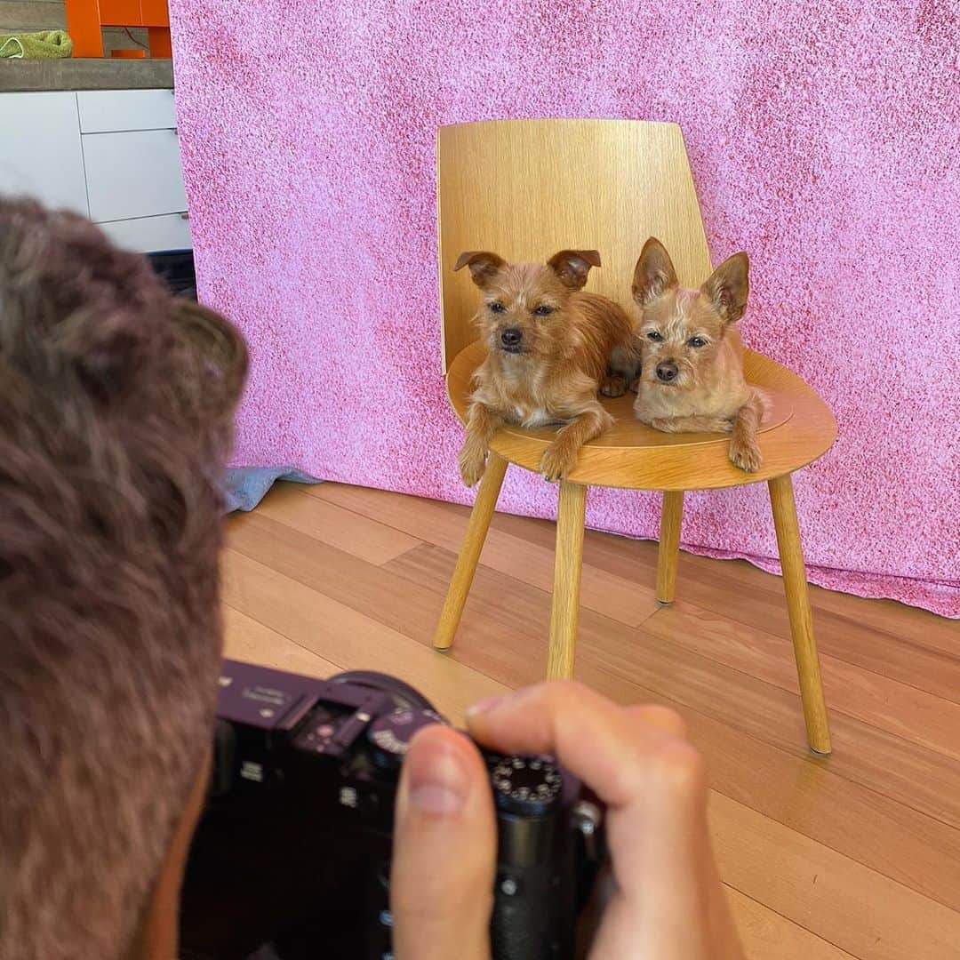 JEN ATKINさんのインスタグラム写真 - (JEN ATKINInstagram)「desperate for content over here... 🐕📸 @mrmikerosenthal」8月12日 1時12分 - jenatkinhair