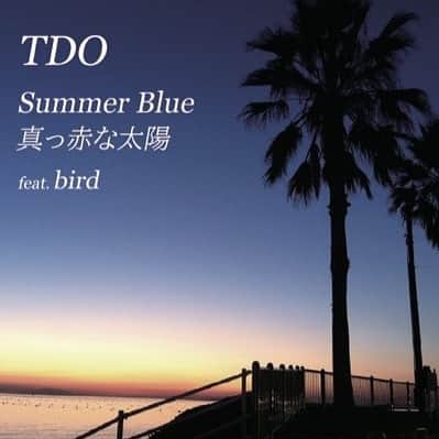 birdのインスタグラム：「8/8に発売されました！うれしいです😊  #TDO #tokyodiscothequeorchestra   Tokyo Discotheque Orchestra「Summer Blue feat. bird / 真っ赤な太陽 feat. bird」（※ bird参加） 8/8（土）限定 7inch vinyl 発売！ 視聴 → CLICK! / 購入 → CLICK! / CITY POP on VINYL 2020 → CLICK!」