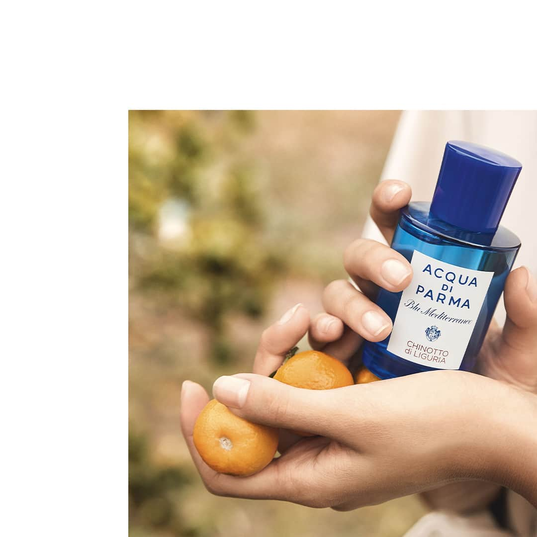 アクアディパルマさんのインスタグラム写真 - (アクアディパルマInstagram)「With its bitter-sweet notes of chinotto, orange and sparkling notes of mandarin, evokes a morning walk along the rocky coastline.⁣ .⁣ .⁣ #acquadiparma #blumediterraneo #chinottodiliguria #chinotto #liguria #summer #italiansummer」8月12日 2時00分 - acquadiparma