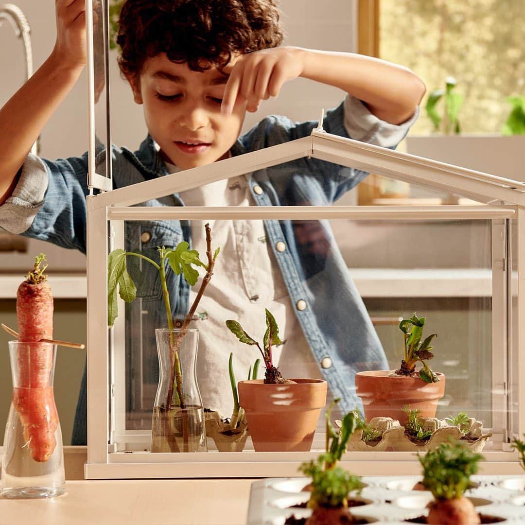 IKEA USAさんのインスタグラム写真 - (IKEA USAInstagram)「Plant. Grow. Eat. Repeat! Check the link in our bio for simple veggie gardening projects that kids will love. 🥕🍅🥑 #IKEAstaycation #BringSmalandHome #HomeGarden」8月12日 2時18分 - ikeausa