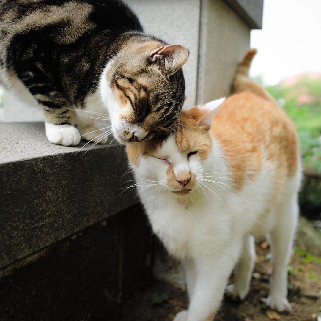 ををつかのインスタグラム