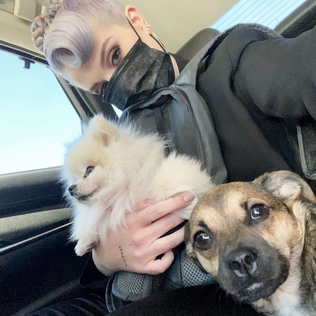 ケリー・オズボーンのインスタグラム：「I could not find a sitter so they are coming to work with me!!! Stay safe everyone!! I love you all 💜」