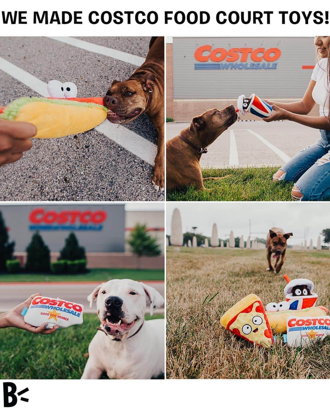 BarkBoxさんのインスタグラム写真 - (BarkBoxInstagram)「THE MIDWEST (🌽MidBEST🌽) NOW HAS @COSTCO DOG TOYS. YOU ARE WELCOME ❤️ Here’s to leading the world in cool stuff for dogs AND corn 😤🌽 Now when you go and buy a gallon of sweet Kirkland vodka, you can also snag these amazing toys! Check the link in our bio for more info!! … … … ALL HAIL THE CONCRETE 🌽#midwestmidbest #costcofinds #dogsofbark #costcodoesitagain」8月12日 5時05分 - barkbox