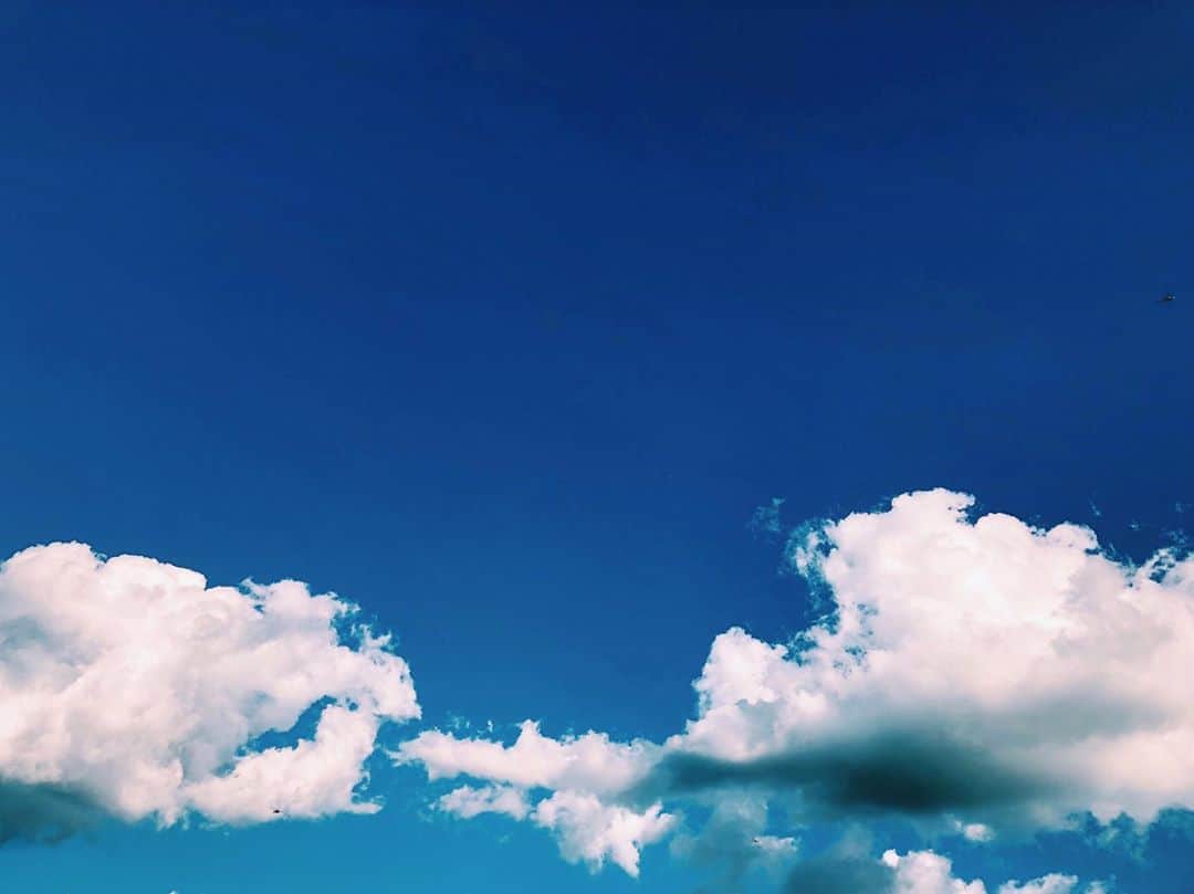 真山りかさんのインスタグラム写真 - (真山りかInstagram)「.﻿ ﻿ びっくり暑くて夏感じてる﻿ ﻿ #まやまにあ﻿ ﻿ .」8月12日 15時58分 - ma_yama_official